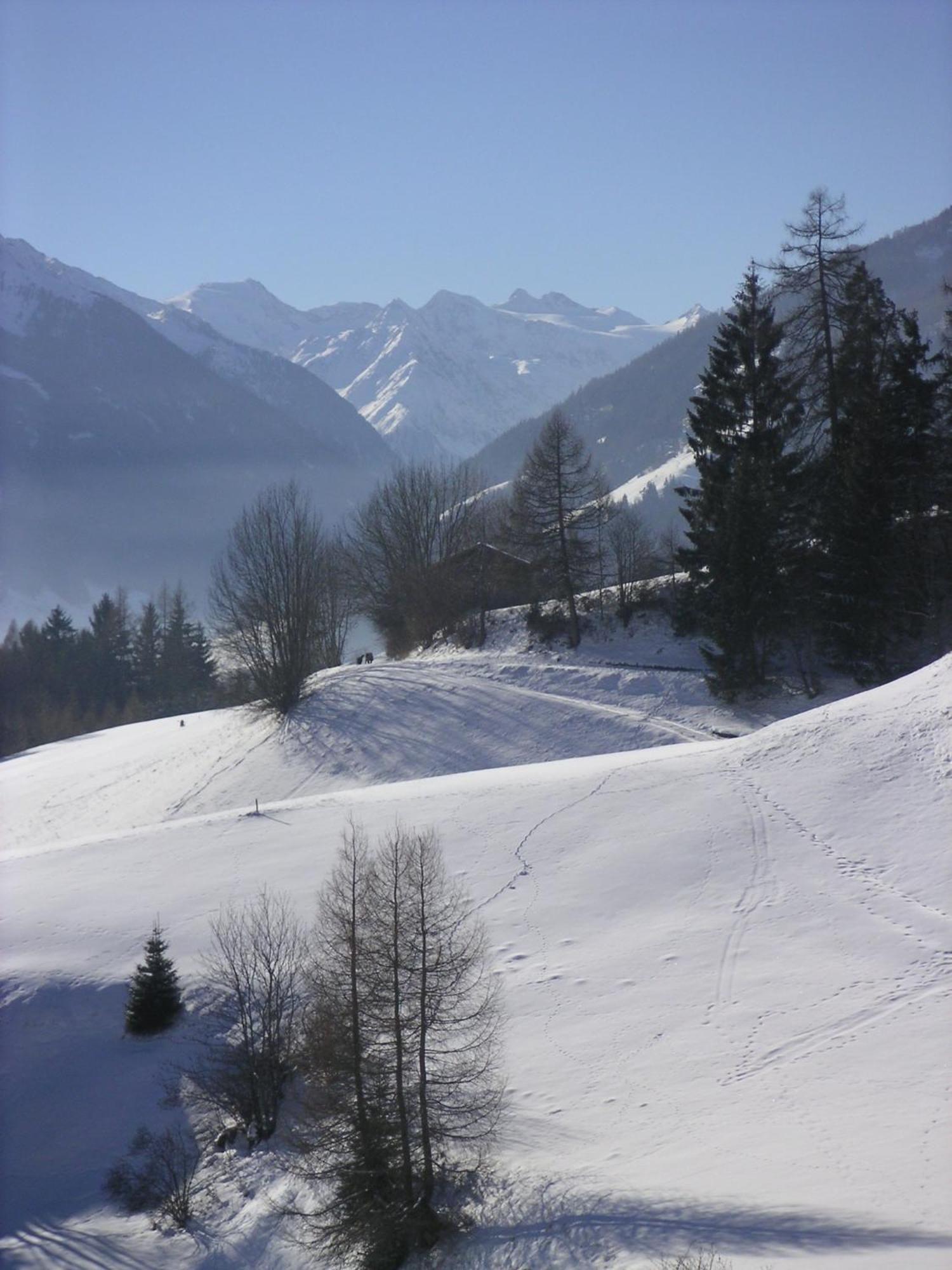Pension Danler Telfes im Stubai Exterior photo