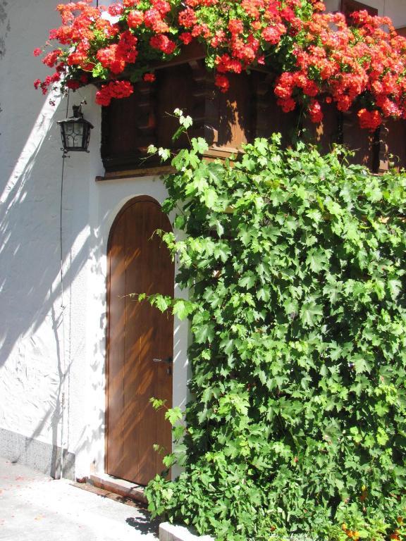 Pension Danler Telfes im Stubai Exterior photo